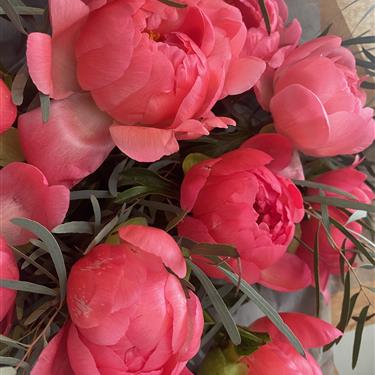 Bouquet of the Month - Pure Peonies