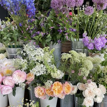 Create a vase arrangement Weds June 11th 7-9pm